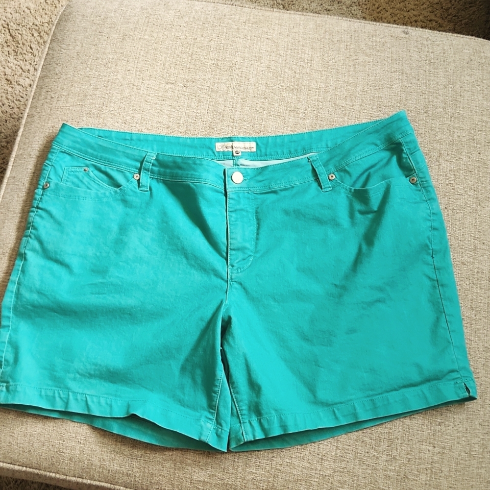 ROYALTY FOR ME Size 24W seafoam green shorts.